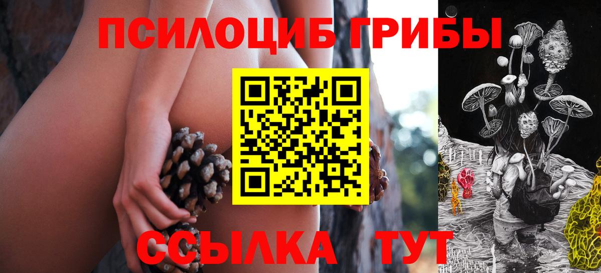 Галлюциногенные грибы прущие грибы Сочи